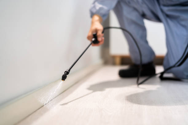 Professional exterminator conducting IPM assessment in Anchor Point